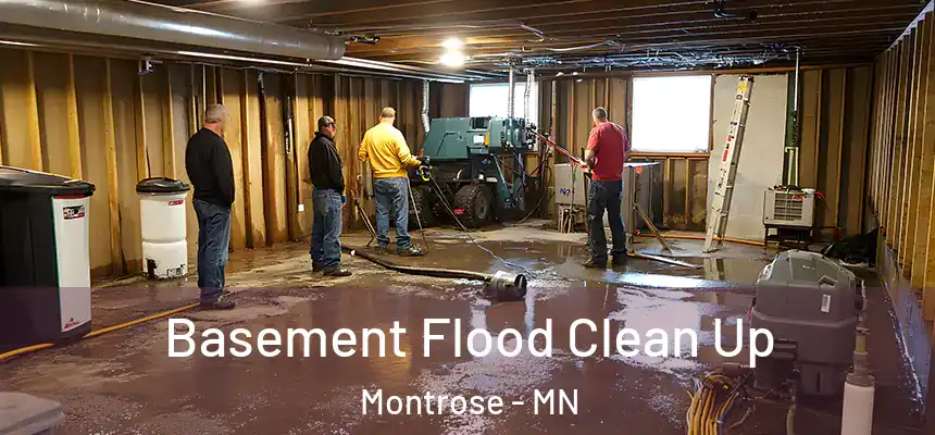  Basement Flood Clean Up Montrose - MN