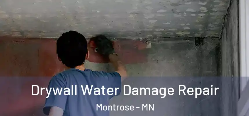  Drywall Water Damage Repair Montrose - MN