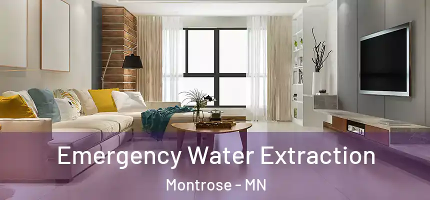  Emergency Water Extraction Montrose - MN