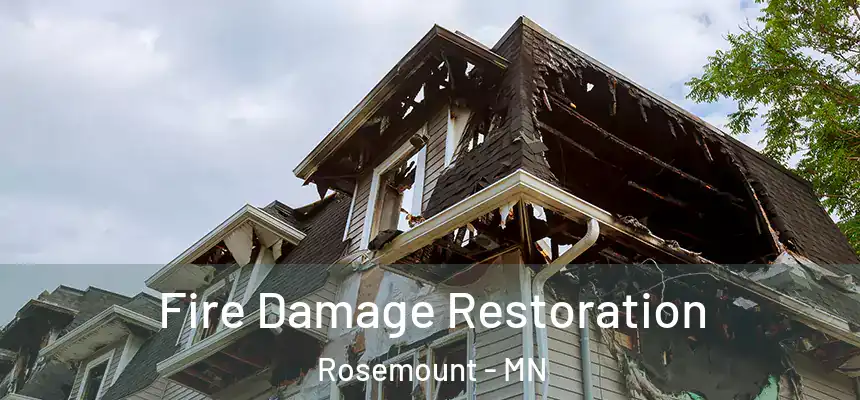  Fire Damage Restoration Rosemount - MN