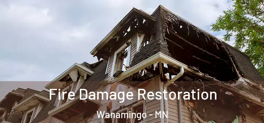  Fire Damage Restoration Wanamingo - MN