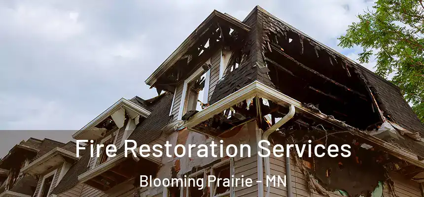  Fire Restoration Services Blooming Prairie - MN