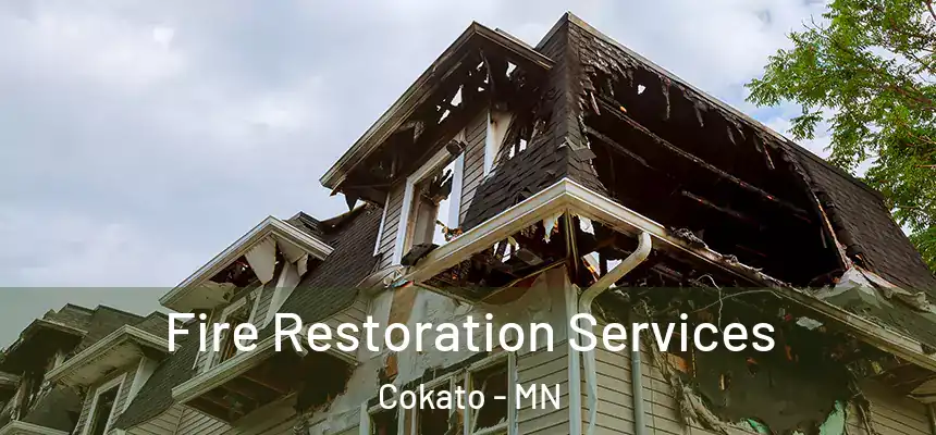  Fire Restoration Services Cokato - MN