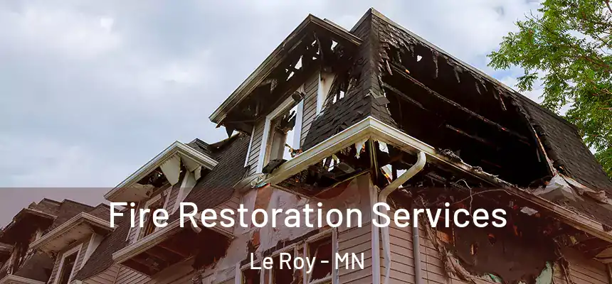  Fire Restoration Services Le Roy - MN