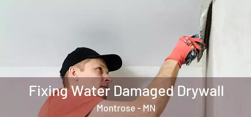  Fixing Water Damaged Drywall Montrose - MN