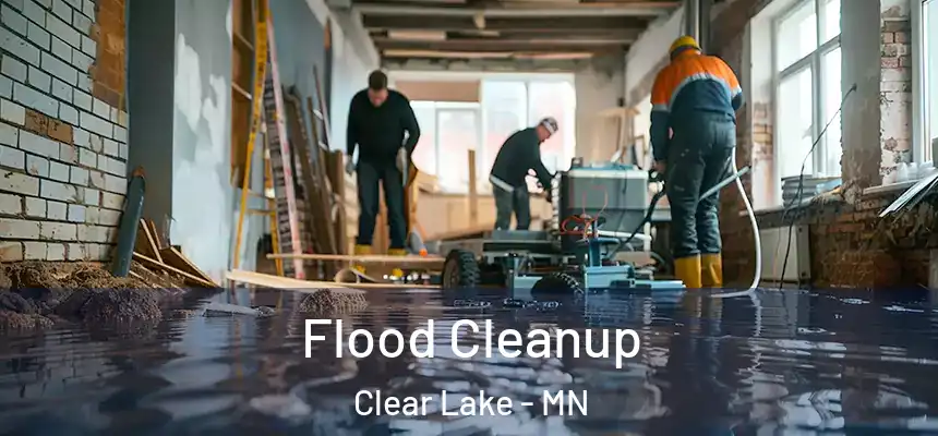 Flood Cleanup Clear Lake - MN