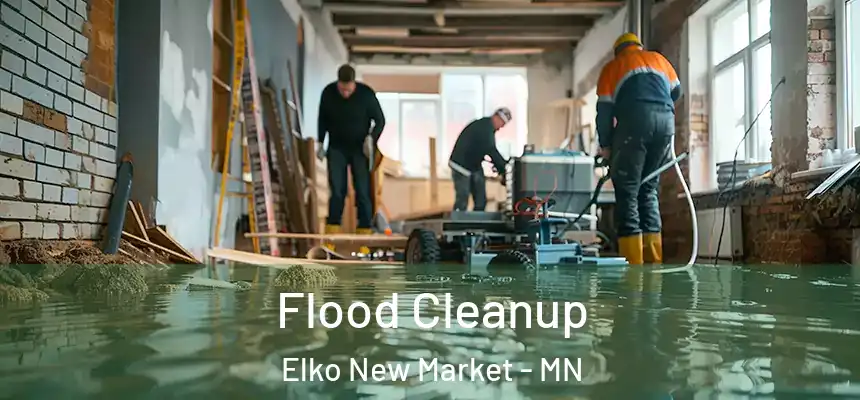  Flood Cleanup Elko New Market - MN