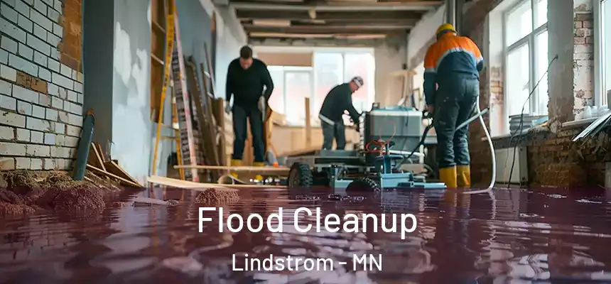  Flood Cleanup Lindstrom - MN