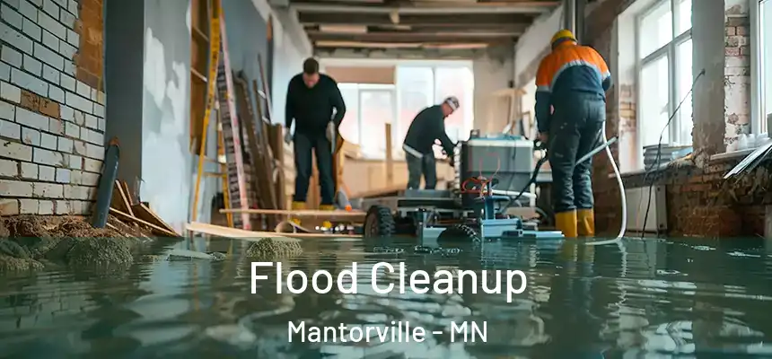 Flood Cleanup Mantorville - MN