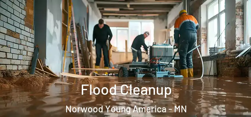  Flood Cleanup Norwood Young America - MN
