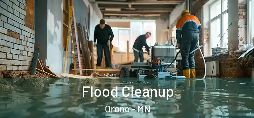  Flood Cleanup Orono - MN