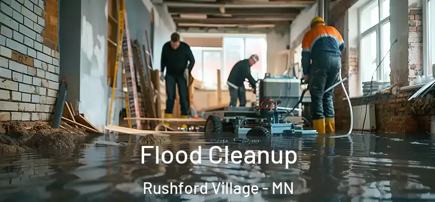 Flood Cleanup Rushford Village - MN