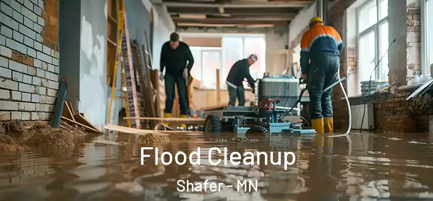  Flood Cleanup Shafer - MN