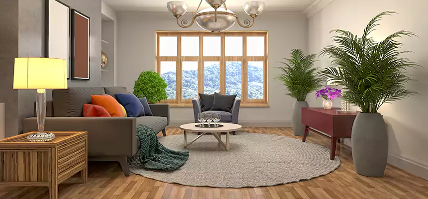 Local Water Mitigation in Montrose