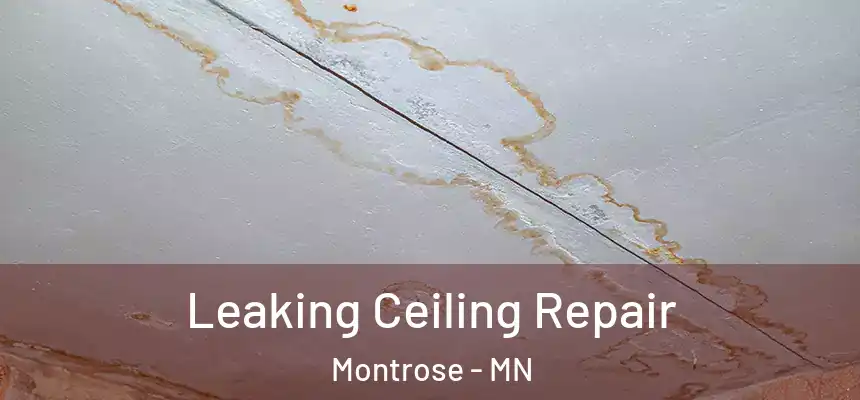 Leaking Ceiling Repair Montrose - MN