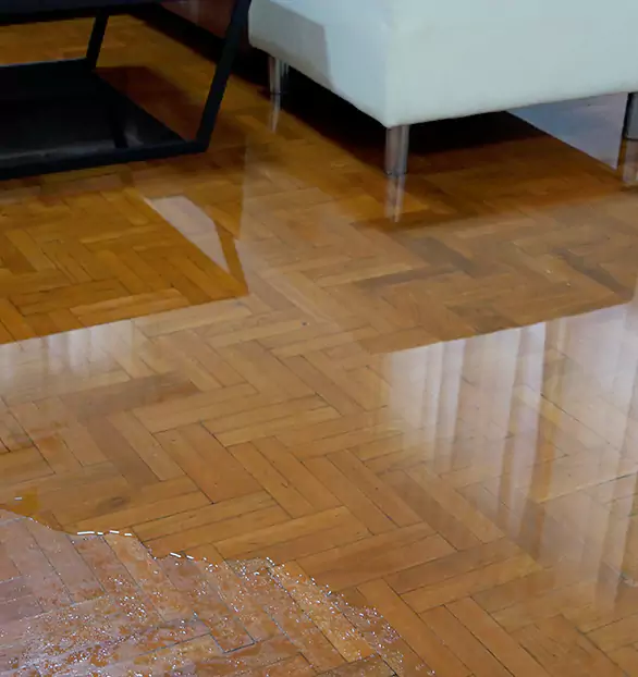 Trusted Emergency Water Restoration Company in Montrose, MN