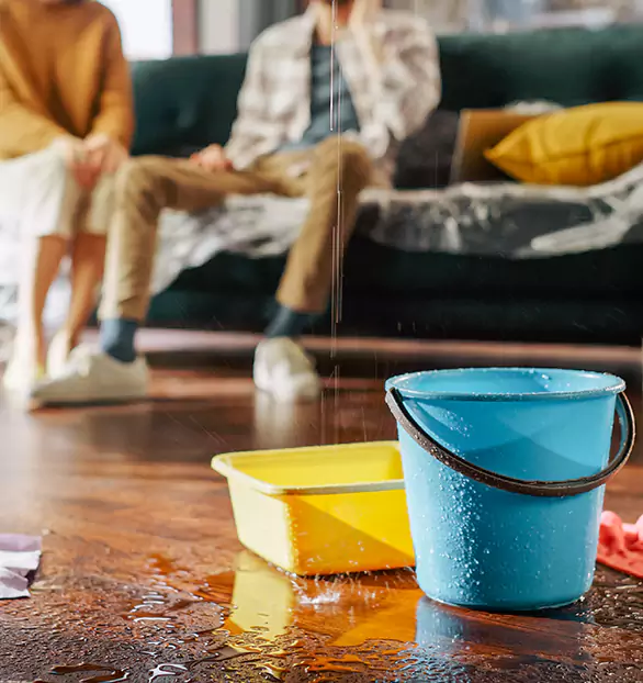 Trusted Water Restoration Company in Montrose, MN