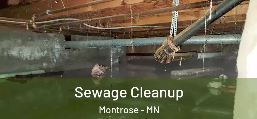  Sewage Cleanup Montrose - MN