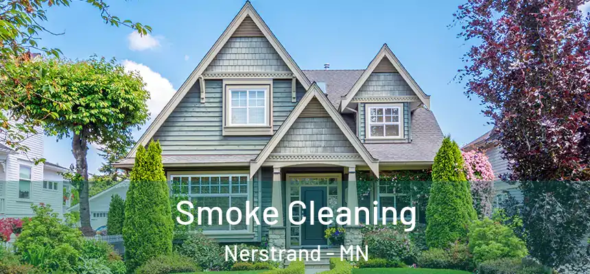  Smoke Cleaning Nerstrand - MN