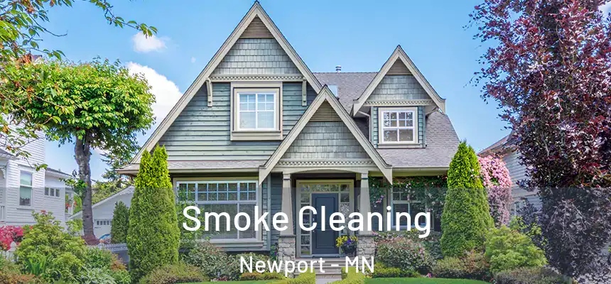 Smoke Cleaning Newport - MN