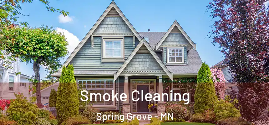 Smoke Cleaning Spring Grove - MN