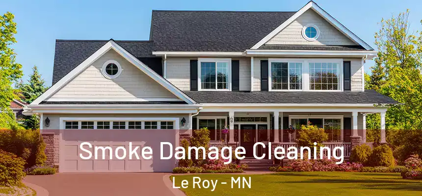 Smoke Damage Cleaning Le Roy - MN