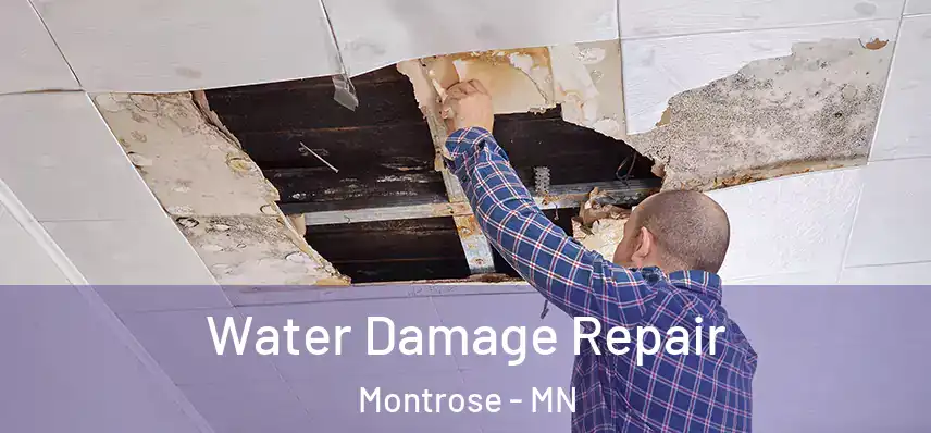 Water Damage Repair Montrose - MN