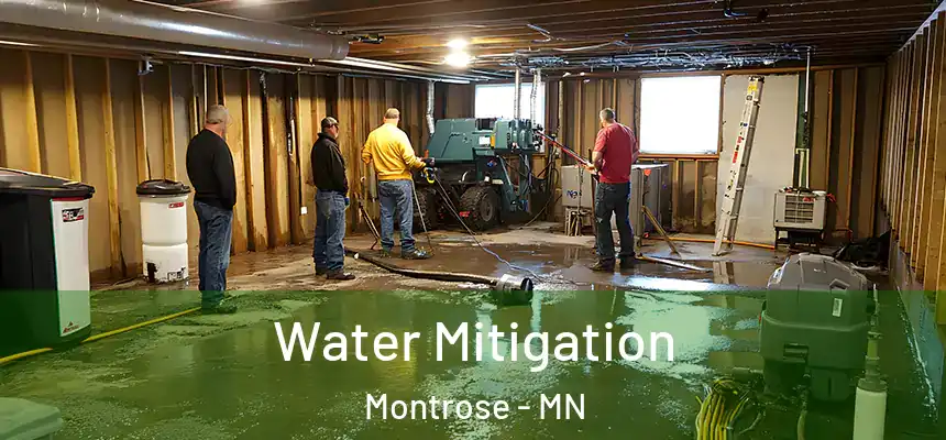  Water Mitigation Montrose - MN