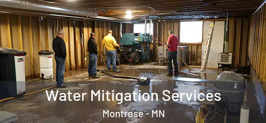 Water Mitigation Services Montrose - MN