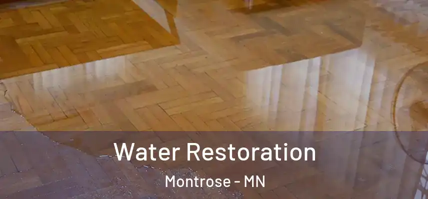  Water Restoration Montrose - MN